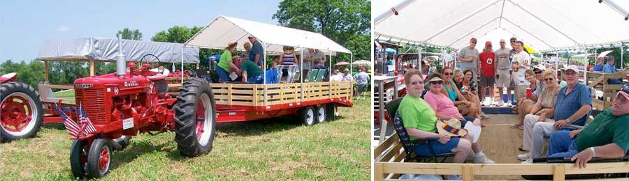 Cart awning